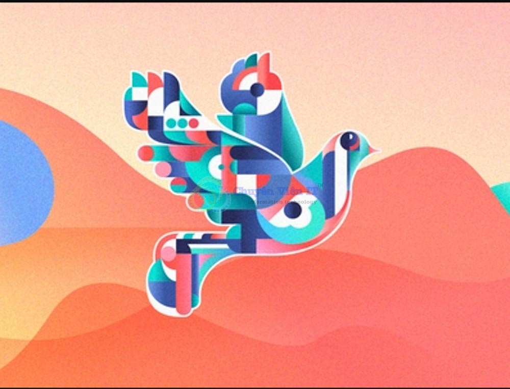 c 3
