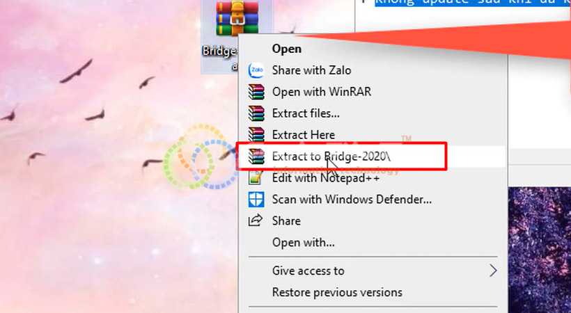 Adobe Bridge 2020