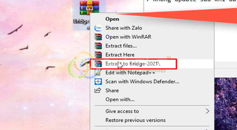 Adobe Bridge 2021