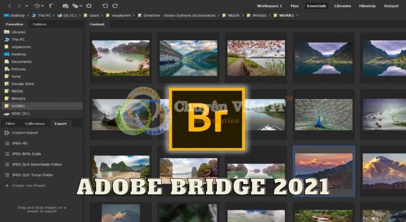 Adobe Bridge 2021