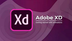 Adobe XD 2021