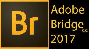 Bridge 2017