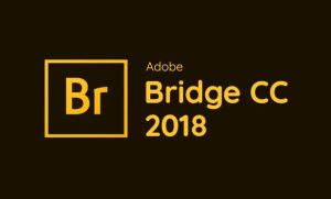 Bridge 2018