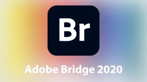 Bridge 2020