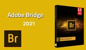 Bridge 2021