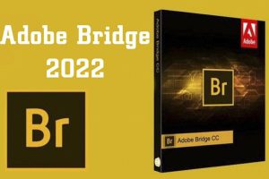 Bridge 2022