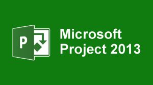 Project Pro 2013