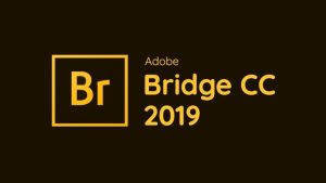 bridge 2019